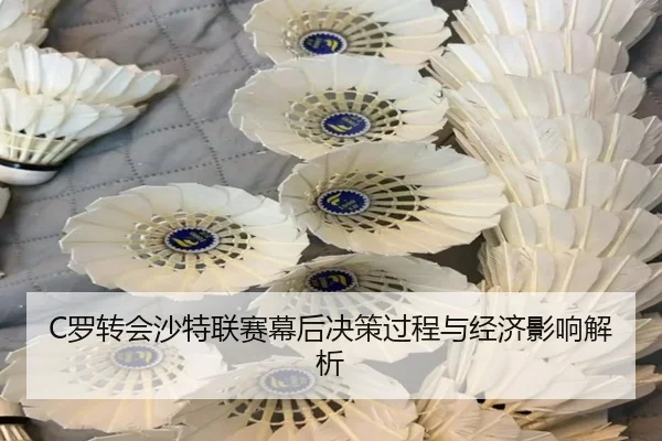 luo-zhuan-hui-sha-te-lian-sai-mu-hou-jue-ce-guo-cheng-yu-jing-ji-ying-xiang-jie-xi-2-132.jpg